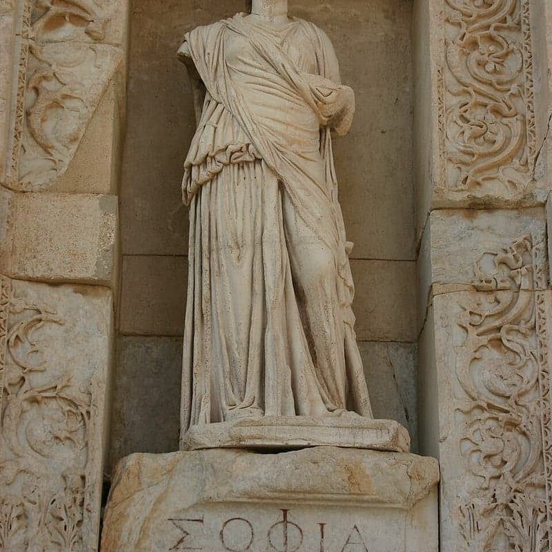 Sophia Al-Maria